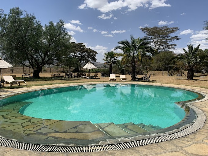 Flamingo Hill Nakuru-2