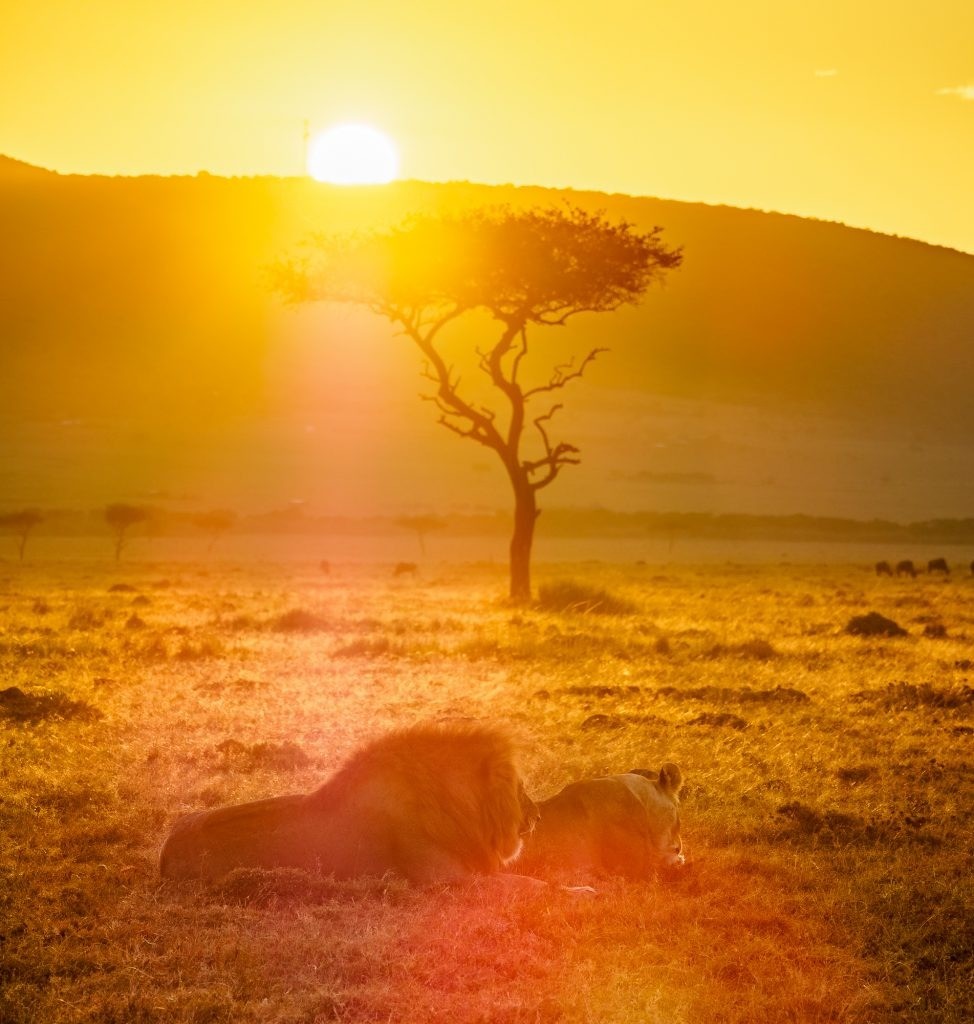 WhatsApp Image 2024-08-21 at 3.40.10 AM