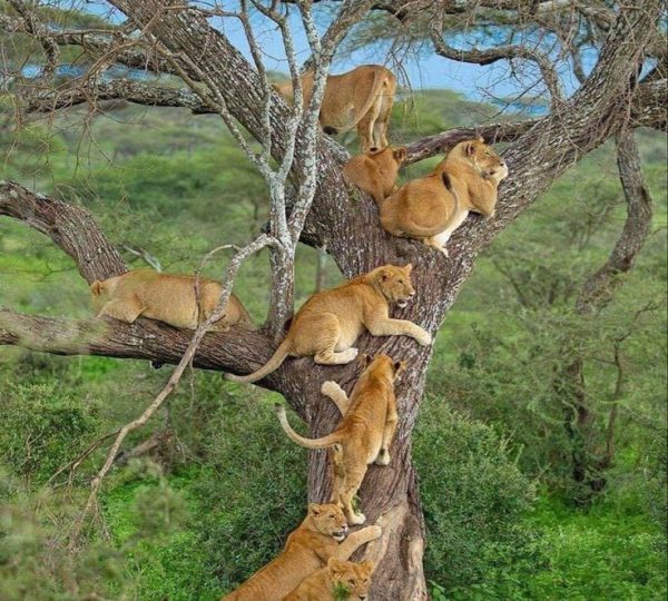 WhatsApp Image 2024-08-22 at 5.29.03 AM (1)