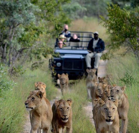 WhatsApp Image 2024-08-23 at 6.17.51 AM (1)