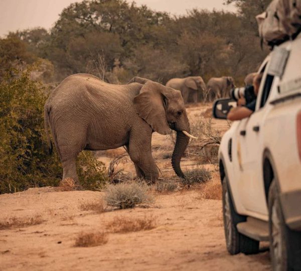 WhatsApp Image 2024-08-23 at 6.17.51 AM