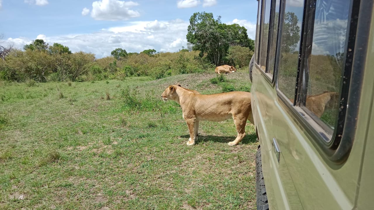 WhatsApp Image 2024-09-08 at 5.50.55 AM