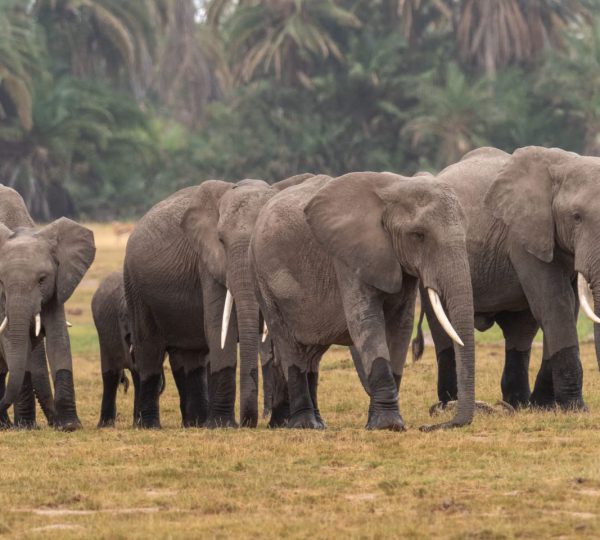 WhatsApp Image 2024-09-08 at 5.50.56 AM (1)