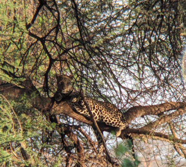 WhatsApp Image 2024-10-02 at 2.13.07 AM