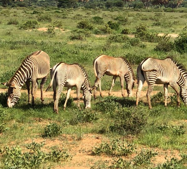 WhatsApp Image 2024-10-21 at 10.39.33 AM