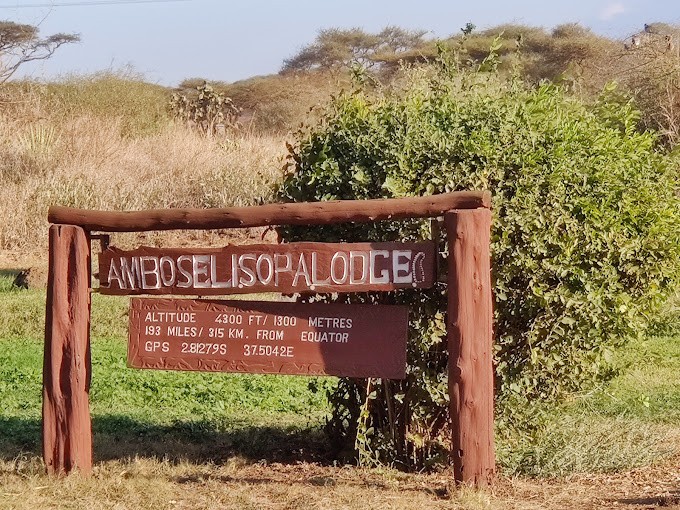 amboseli sopa2