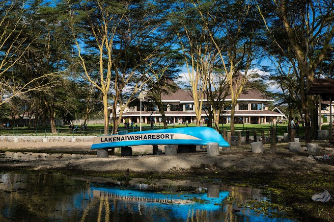 l.naivasha resort-3