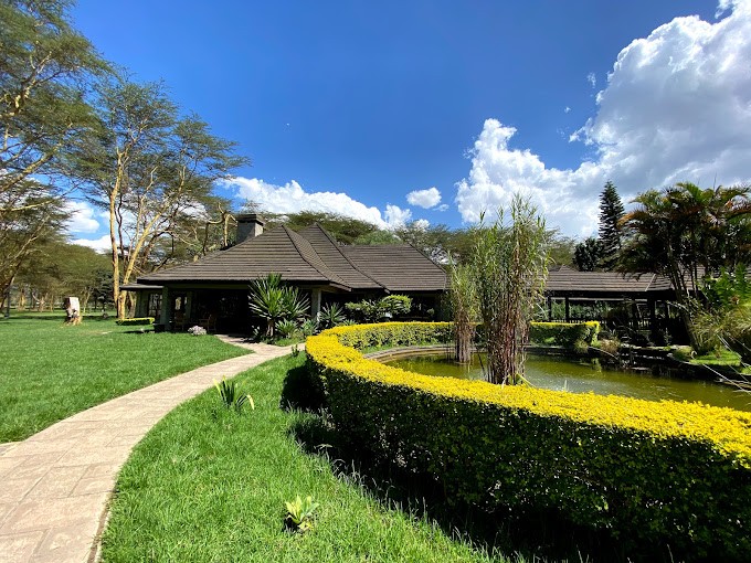 l.naivasha simba lodge-1