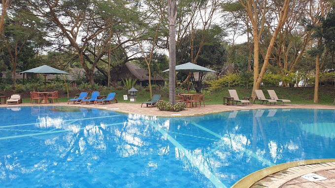 l.naivasha simba lodge.2