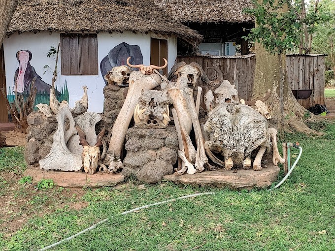 voyager ziwani.1 jpg