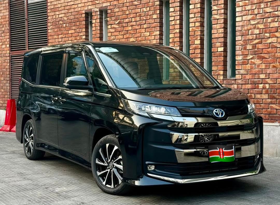 WhatsApp Image 2024-11-05 at 17.25.14