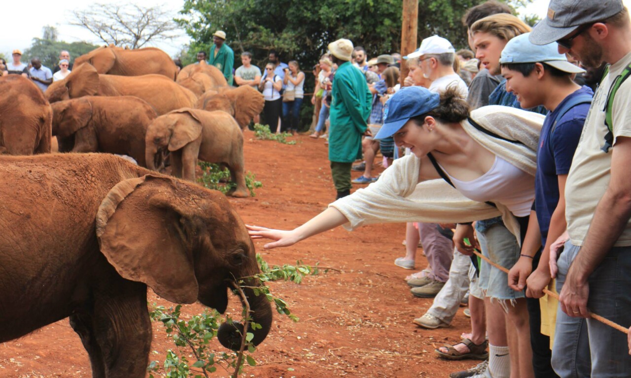 Experience the best Nairobi excursions! Discover wildlife safaris, cultural tours, scenic landscapes, and vibrant city life. Plan your adventure today and explore Nairobi National Park, Giraffe Centre, Karen Blixen Museum, David Sheldrick Elephant Orphanage, Nairobi National Museum plus a day experience of Lake Naivasha, Crescent Island and Hell's Gate National Park