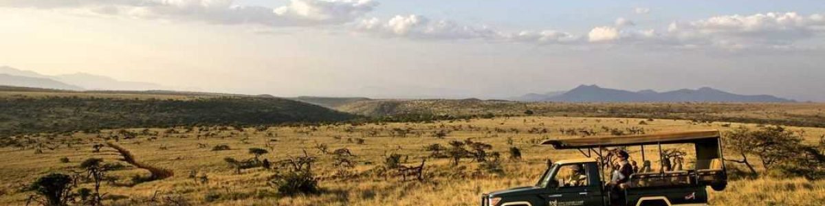 Lewa-Safari-Camp-Game-Drive-4.jpg