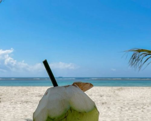 WhatsApp Image 2024-08-21 at 12.25.50 PM