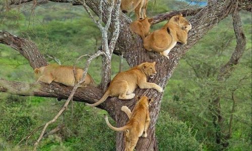 WhatsApp Image 2024-08-22 at 5.29.03 AM (1)