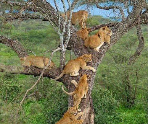 WhatsApp Image 2024-08-22 at 5.29.03 AM (1)