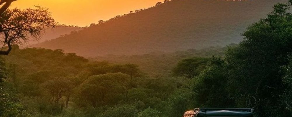 WhatsApp Image 2024-08-22 at 6.13.04 AM