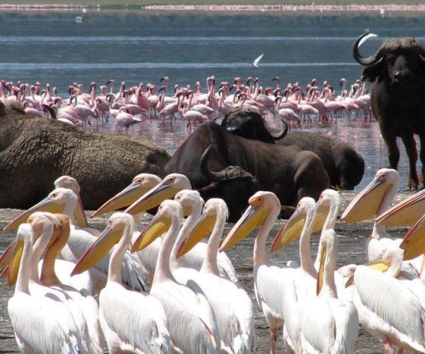 WhatsApp Image 2024-08-22 at 6.13.05 AM