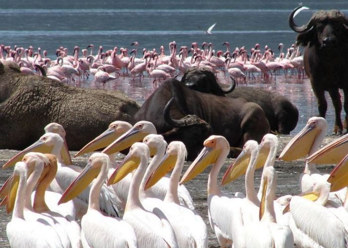 WhatsApp Image 2024-08-22 at 6.13.05 AM