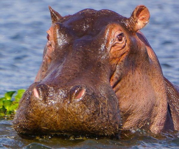 WhatsApp Image 2024-08-22 at 6.29.20 AM (1)