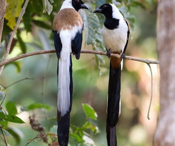 WhatsApp Image 2024-08-22 at 6.43.31 AM