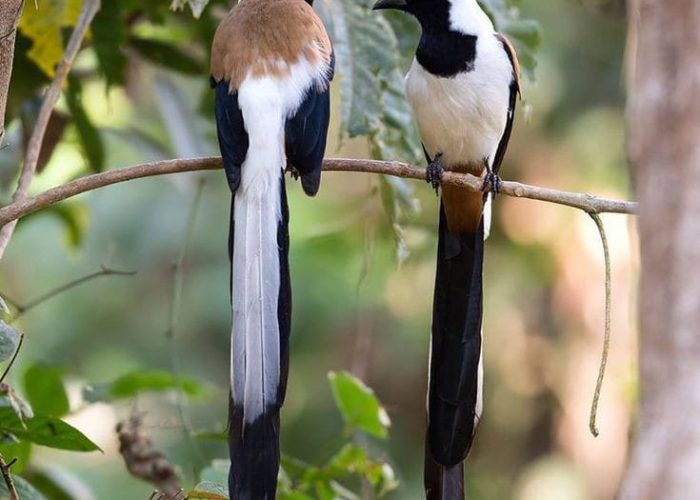 WhatsApp Image 2024-08-22 at 6.43.31 AM