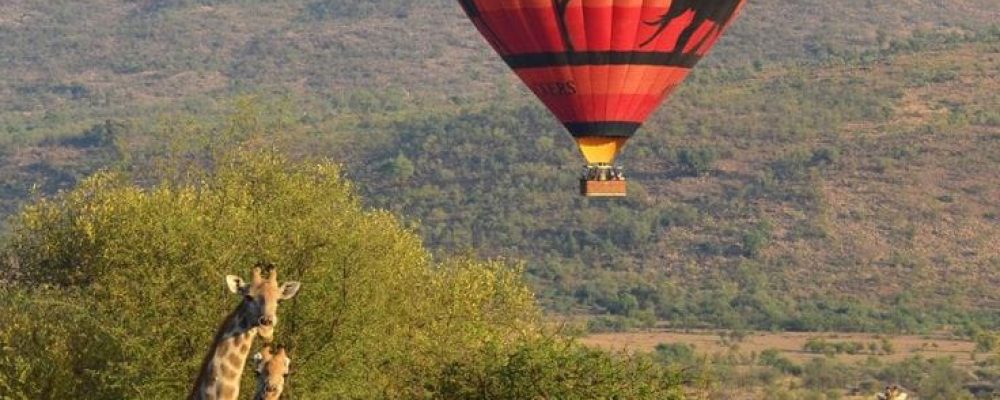 WhatsApp Image 2024-08-22 at 7.37.56 AM