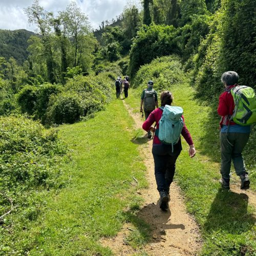 WhatsApp Image 2024-08-22 at 7.55.02 AM