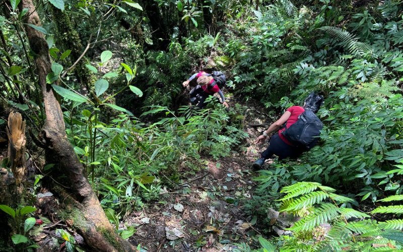 WhatsApp Image 2024-08-22 at 7.55.04 AM (2)