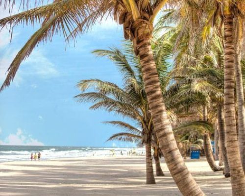 WhatsApp Image 2024-08-22 at 8.57.33 AM