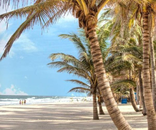 WhatsApp Image 2024-08-22 at 8.57.33 AM