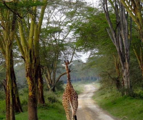 WhatsApp Image 2024-08-23 at 1.39.10 PM