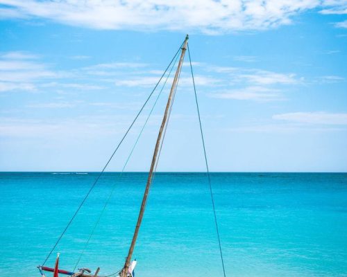 Diani Beach Art Gallery Exhibition: Discover local art and crafts in this charming gallery.