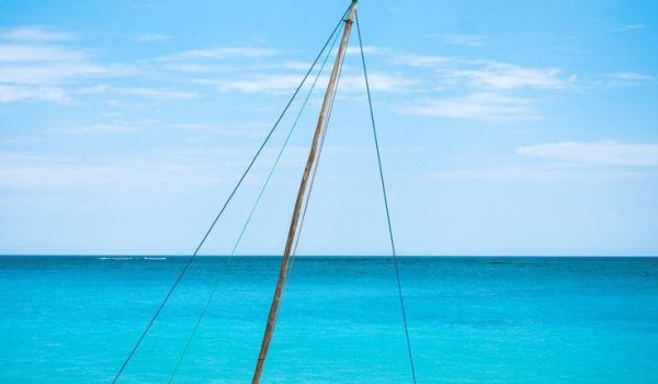 Diani Beach Art Gallery Exhibition: Discover local art and crafts in this charming gallery.