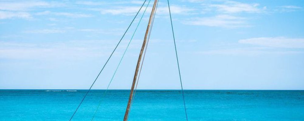 Diani Beach Art Gallery Exhibition: Discover local art and crafts in this charming gallery.