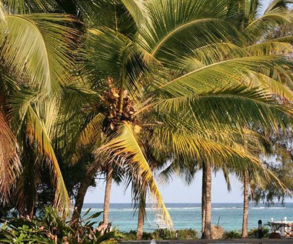 WhatsApp Image 2024-08-23 at 4.54.03 AM