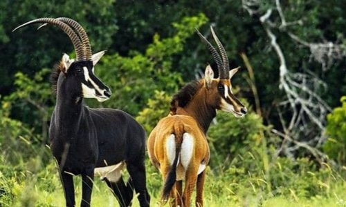 WhatsApp Image 2024-08-23 at 4.54.05 AM