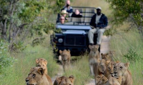 WhatsApp Image 2024-08-23 at 6.17.51 AM (1)