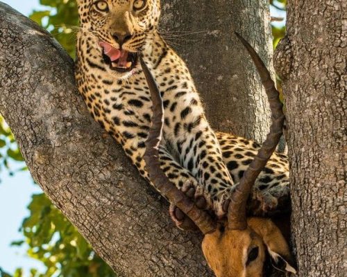 WhatsApp Image 2024-08-23 at 6.17.56 AM