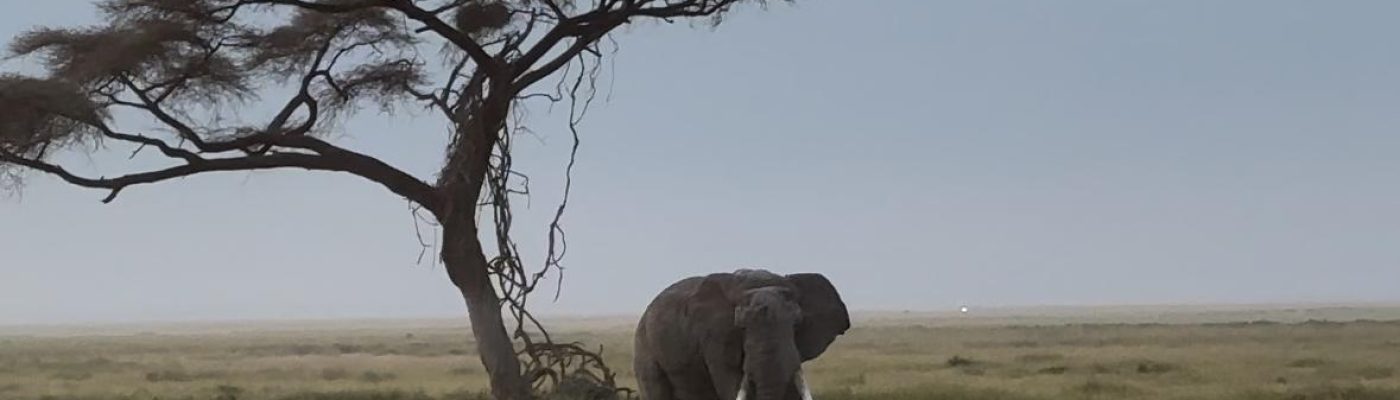 WhatsApp Image 2024-09-08 at 5.50.37 AM (3)