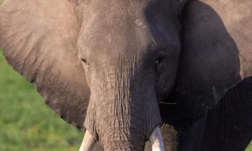 WhatsApp Image 2024-09-08 at 5.50.38 AM (4)