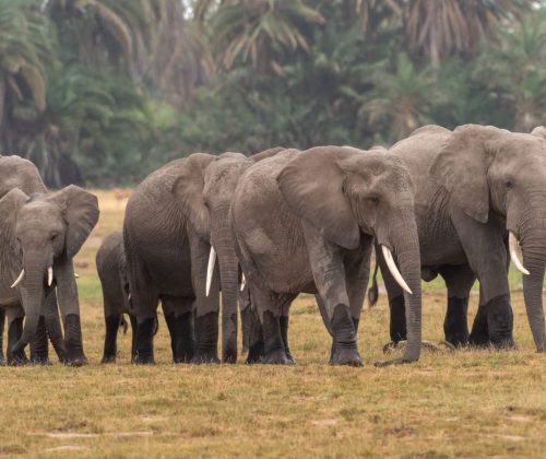 WhatsApp Image 2024-09-08 at 5.50.56 AM (1)