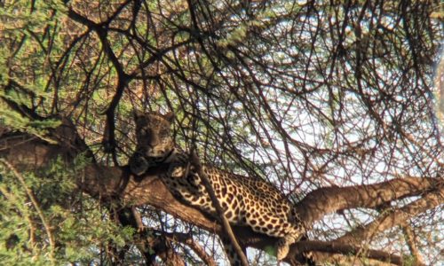 WhatsApp Image 2024-10-02 at 2.13.07 AM