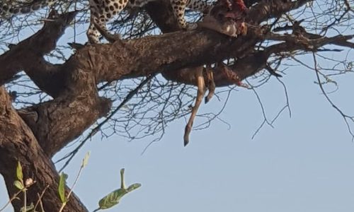 WhatsApp Image 2024-10-02 at 2.14.02 AM