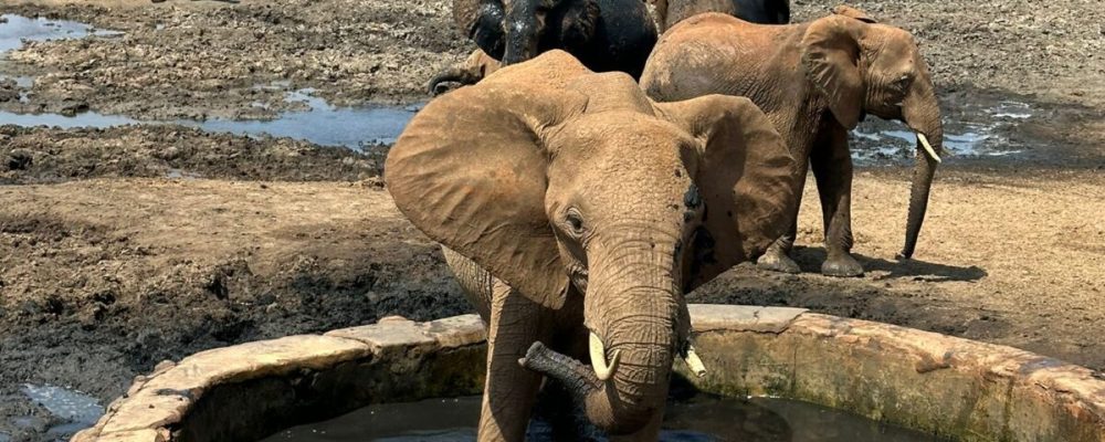 WhatsApp Image 2024-10-03 at 3.11.40 AM