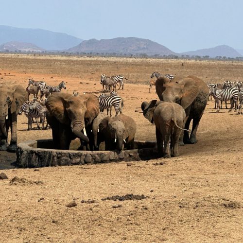 WhatsApp Image 2024-10-03 at 3.11.58 AM