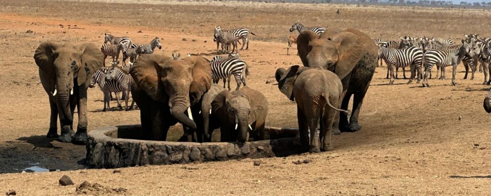 WhatsApp Image 2024-10-03 at 3.11.58 AM