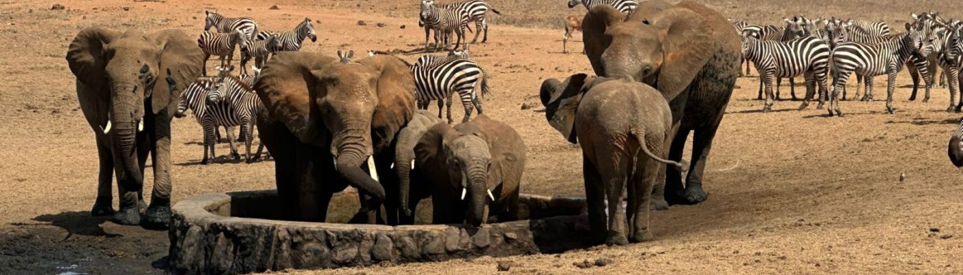 WhatsApp Image 2024-10-03 at 3.11.58 AM