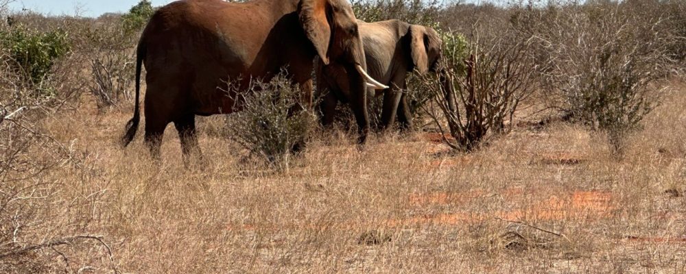 WhatsApp Image 2024-10-03 at 3.12.55 AM