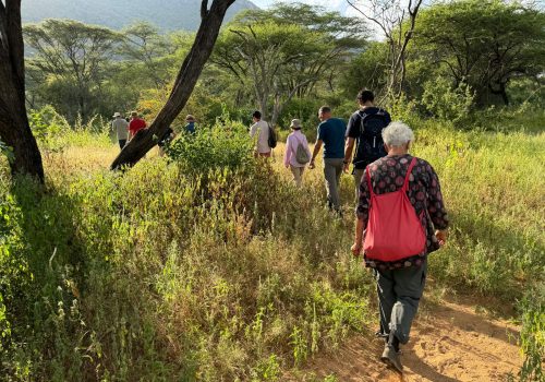 Explore breathtaking trails, immerse in nature, and discover diverse landscapes while hiking and trekking through beautiful terrains. Adventure awaits!